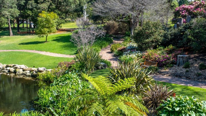 Wollongong Botanic Garden