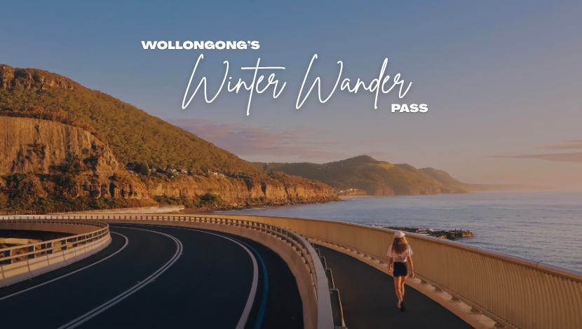 Winter Wander Pass Campaign - Ad Creative (Resized) (1)